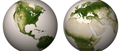 Green Marble
